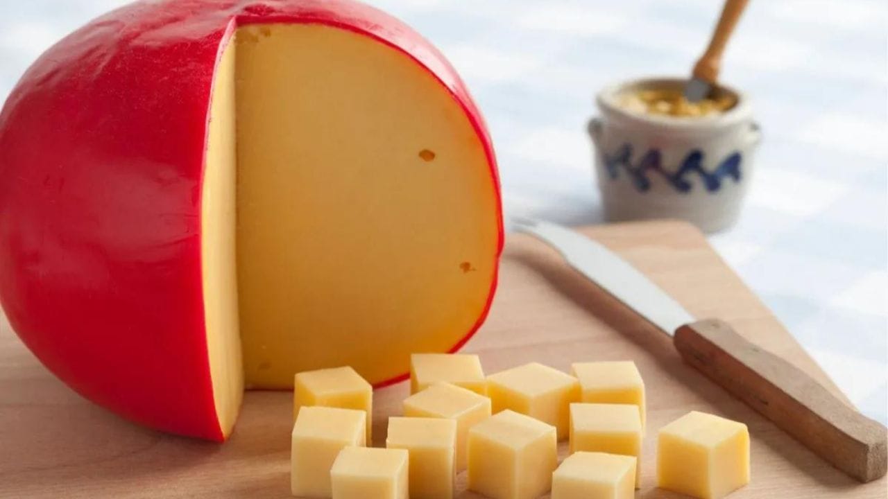 feria_queso_bola_cancun Sanciones para motocicletas que usan las banquetas en Cancún