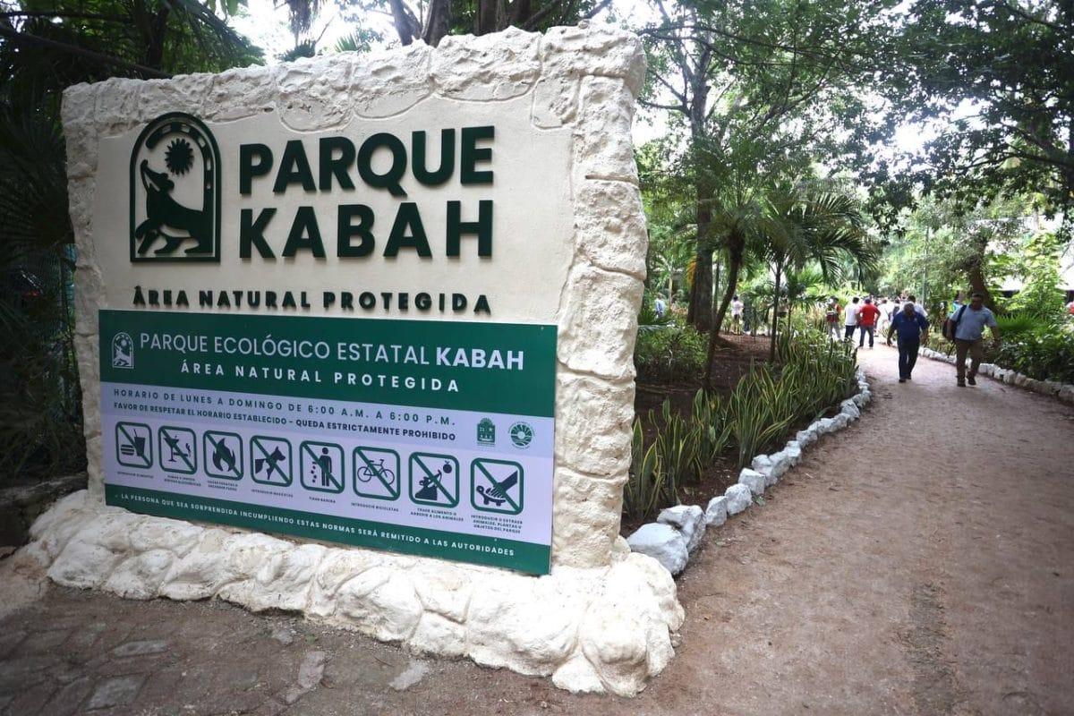 parque_kabah Celebrarán el aniversario 29 de Parque Kabah
