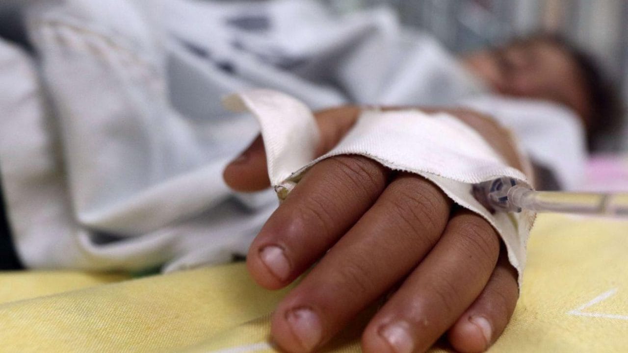 Península de Yucatán registra una nueva muerte por dengue Península de Yucatán registra una nueva muerte por dengue