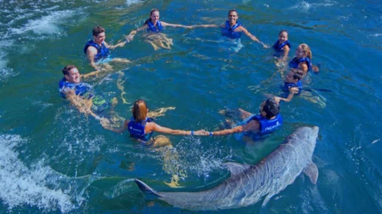 Avala Congreso el Impuesto Estatal por Actividades con Animales Acuáticos Avala Congreso el Impuesto Estatal por Actividades con Animales Acuáticos