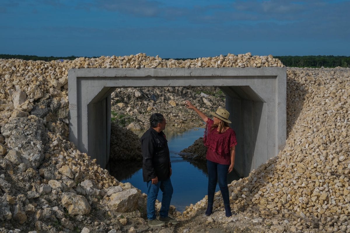 Gobierno del Estado invierte 11 mdp en rehabilitación de carreteras en la zona sur Gobierno del Estado invierte 11 mdp en rehabilitación de carreteras en la zona sur