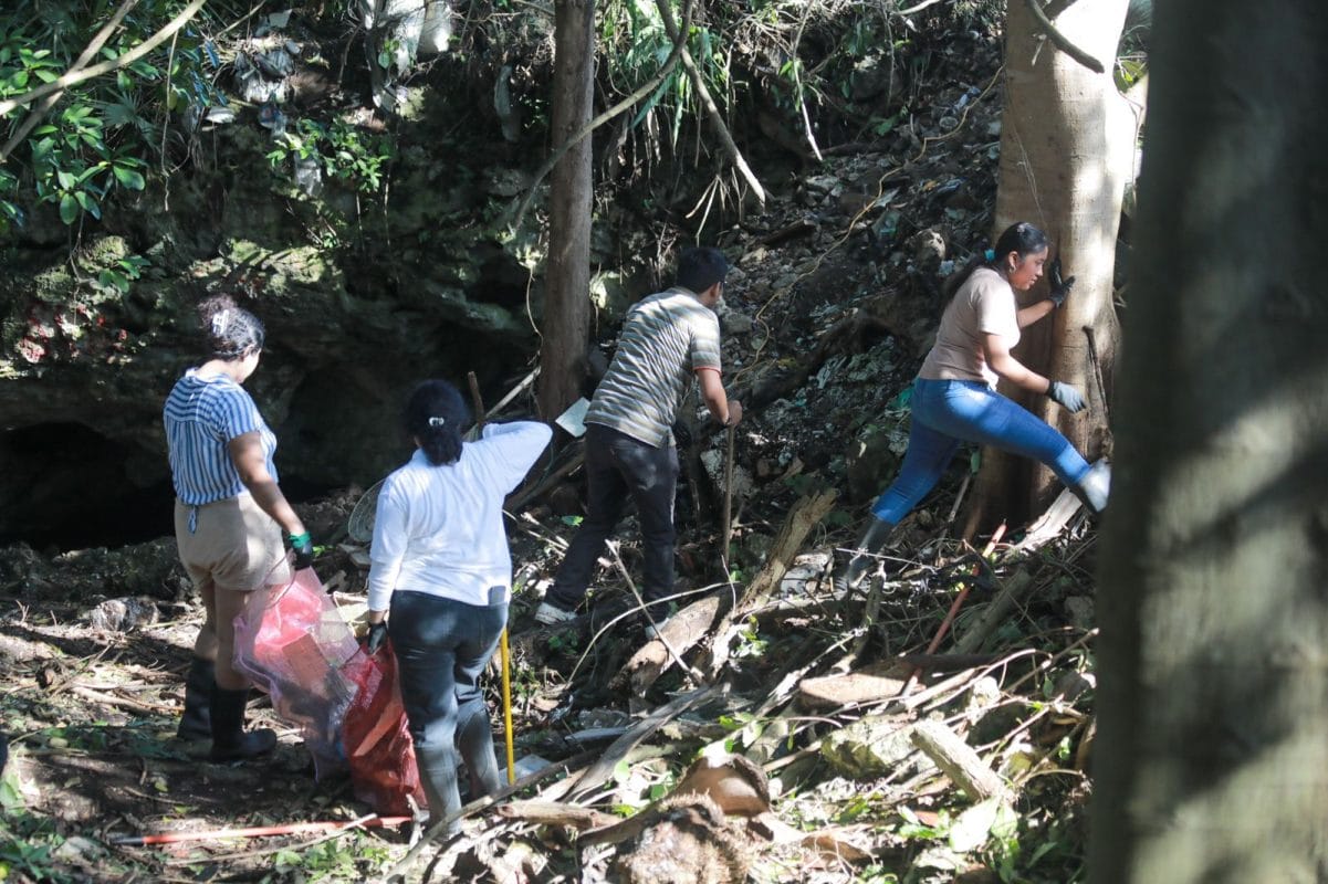 Arranca la limpieza de cenotes urbanos en Cancún