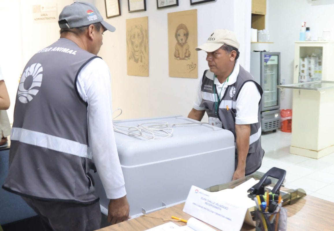 Perrita ahorcada vivía un “infierno” en Cancún, su dueña será sancionada