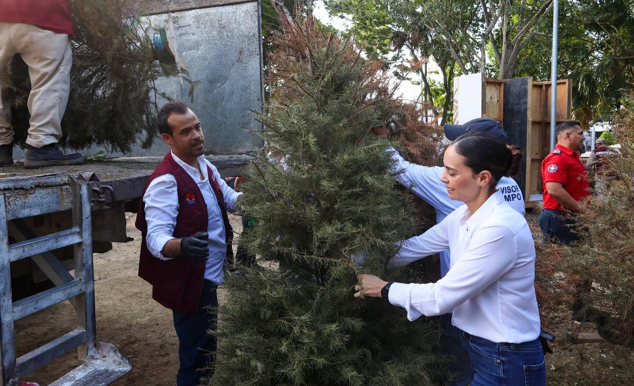 Se espera que a partir del 2 de febrero saquen sus árboles de navidad en Cancún