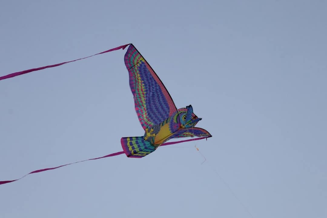 ec4b6372-a308-4d01-9f93-a7b2676d180c