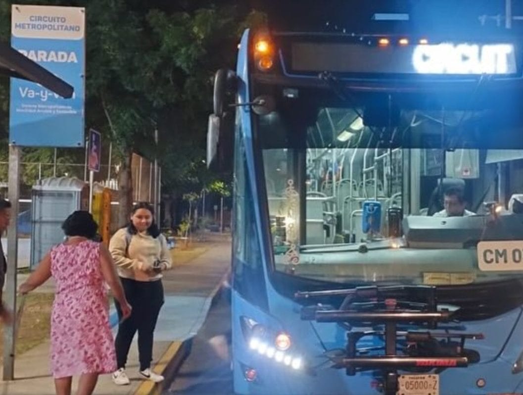 ff9a8c66-7cda-4e0a-b5de-c29d0813c304-1