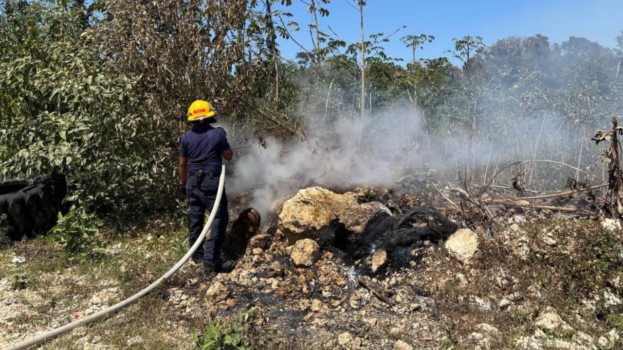 Alertan sobre incendios forestales en Quintana Roo: riesgo crece con la primavera