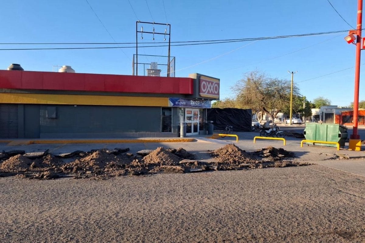 b78ea8c7-474c-4a2c-87a6-437ddd892cfa-1