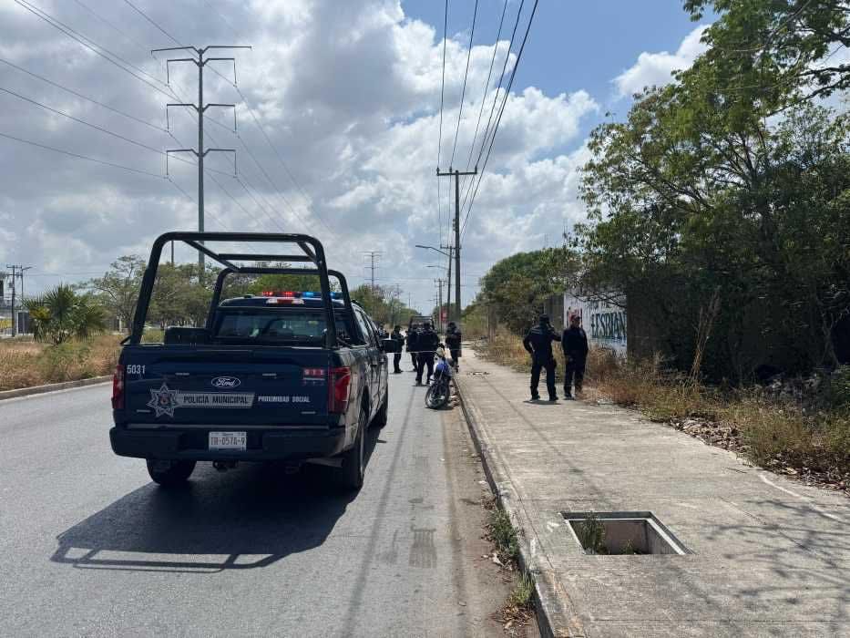 Hallan restos humanos en Región 225 de Cancún; un perro cargaba uno de los huesos 