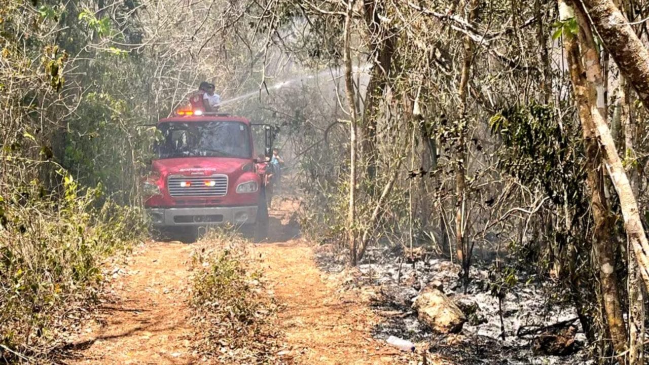 Quintana Roo con tres incendios activos en zona Norte, suman 580 hectáreas afectadas Quintana Roo con tres incendios activos en zona Norte, suman 580 hectáreas afectadas