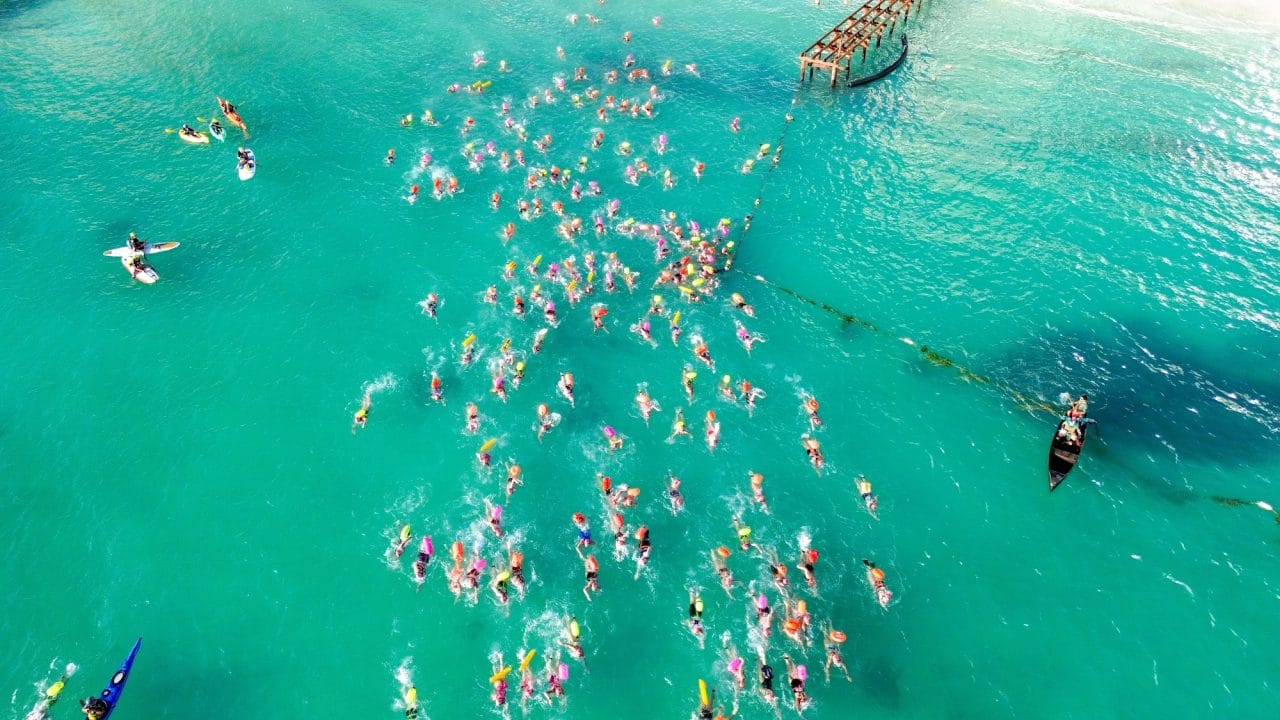 0c17bfde-3ca7-495a-9d41-44213f02f8bd-1