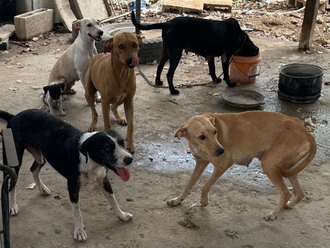 6561554d-b463-4615-8e5d-adca9ce0b173-1