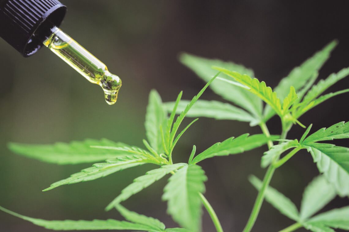 Cannabinoides Cannabinoides