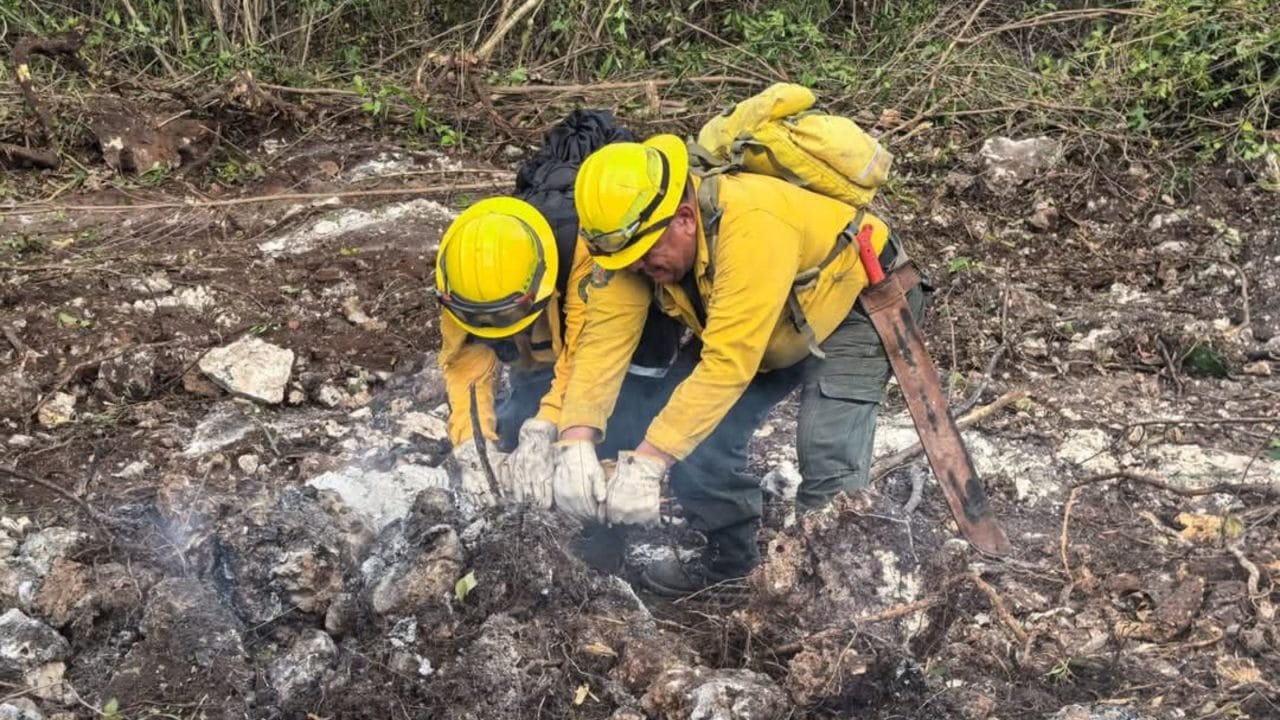 Quintana Roo acumula 8 incendios forestales en esta temporada 2025