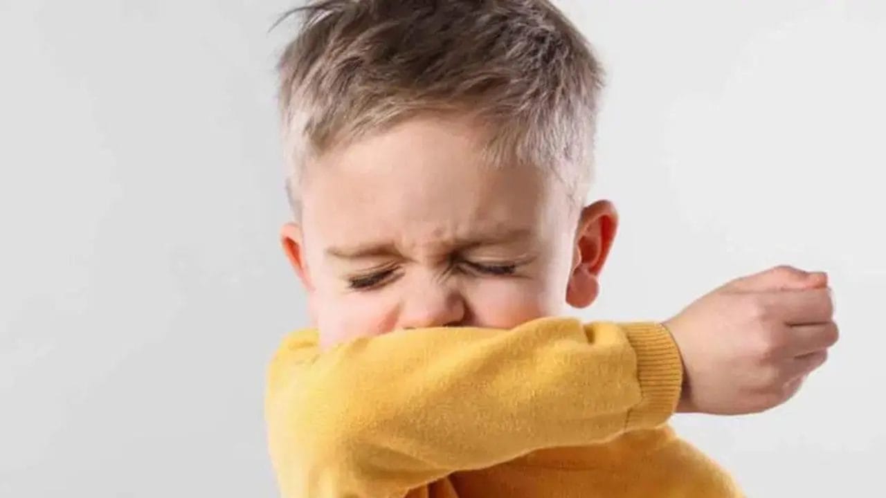 Tos ferina avanza en la península de Yucatán: confirman 29 casos y 3 muertes