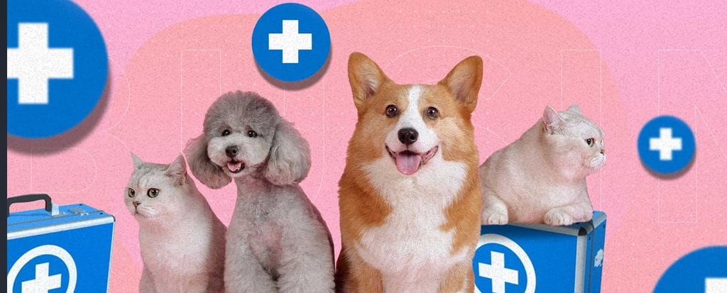 Seguros para Mascotas