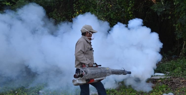 Dengue gana terreno al sur de Quintana Roo; Othón P. Blanco lidera contagios