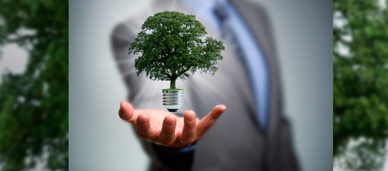 medio ambiente y sostenibilidad