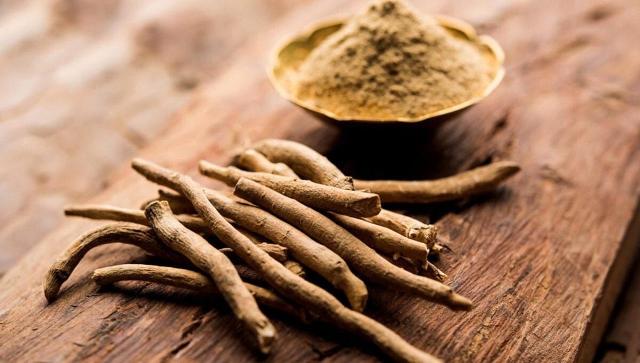 Ashwagandha: el adaptógeno que combate el estrés y mejora tu rendimiento
