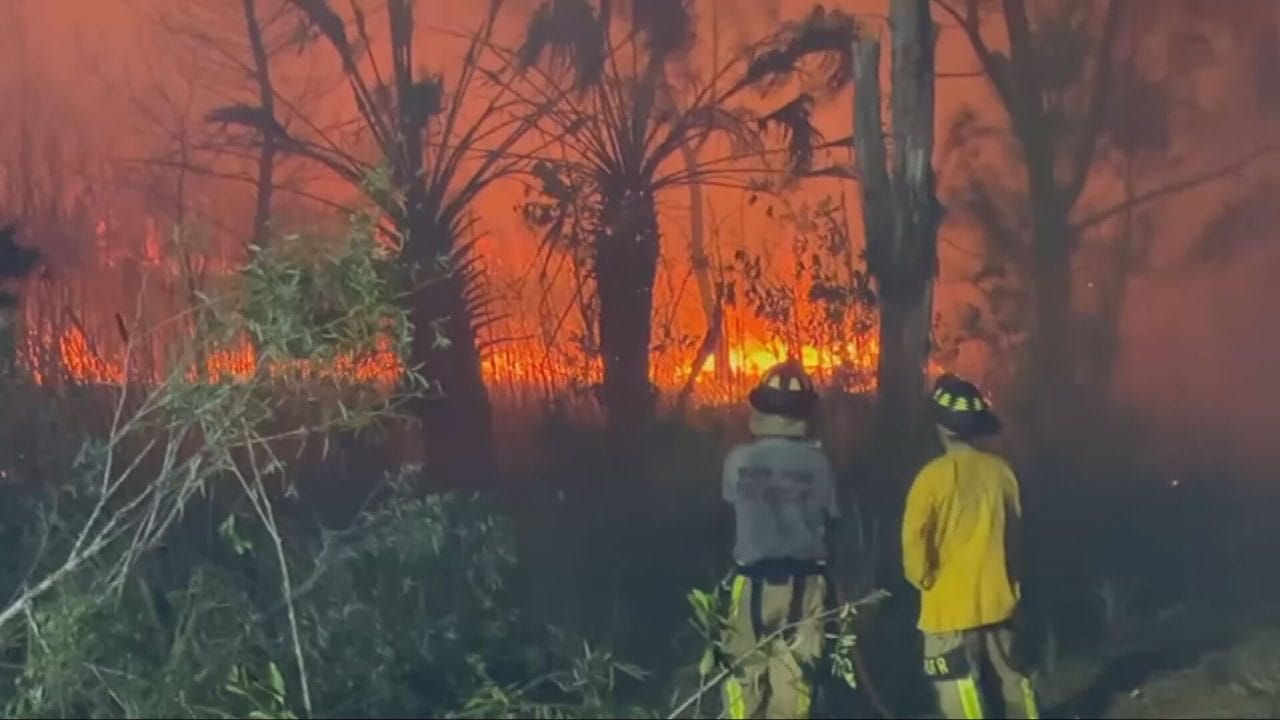 Alerta en Miami: Incendio forestal cierra vías clave en Miami-Dade