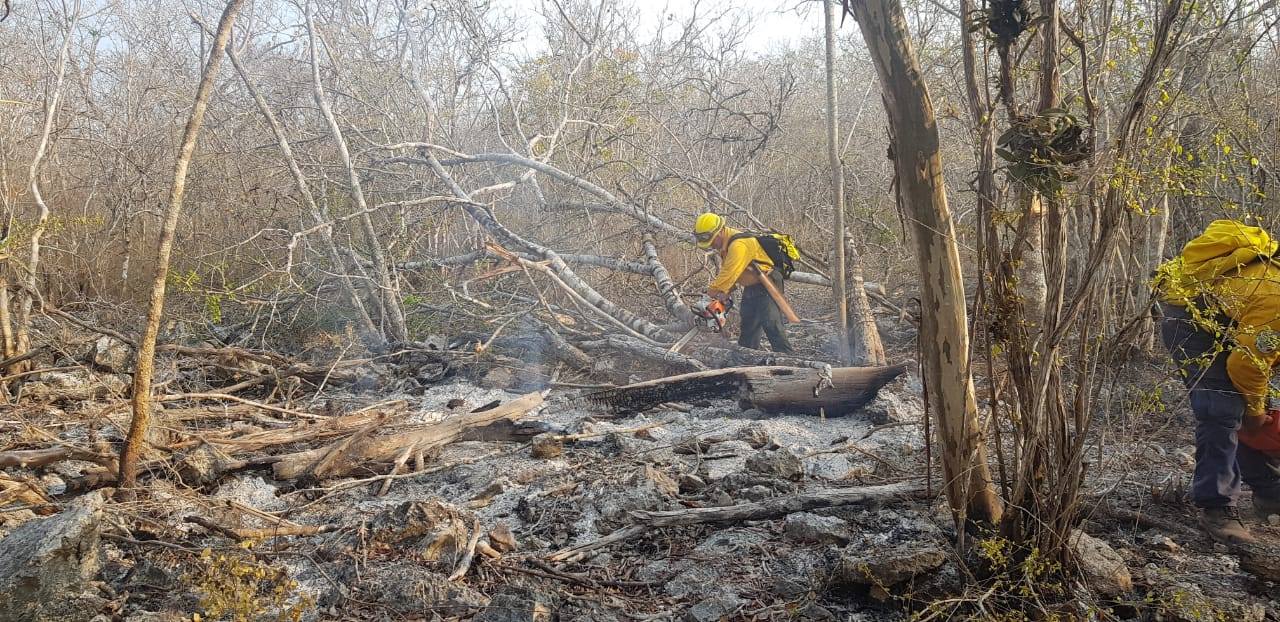 Nuevo incendio forestal afecta Isla Mujeres, mientras sigue activo el de Lázaro Cárdenas