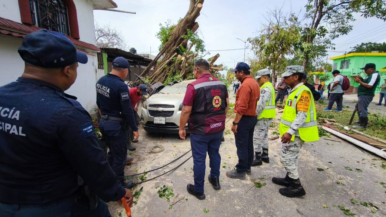 Lluvias por onda tropical 2 causan caída de árboles y afectaciones en Chetumal