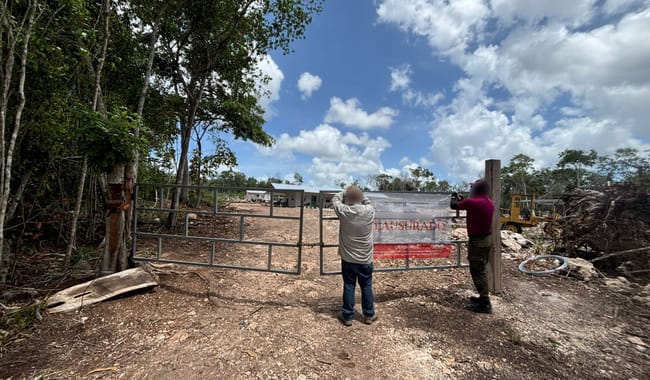 Profepa clausura 7 predios en la Península de Yucatán Profepa clausura 7 predios en la Península de Yucatán