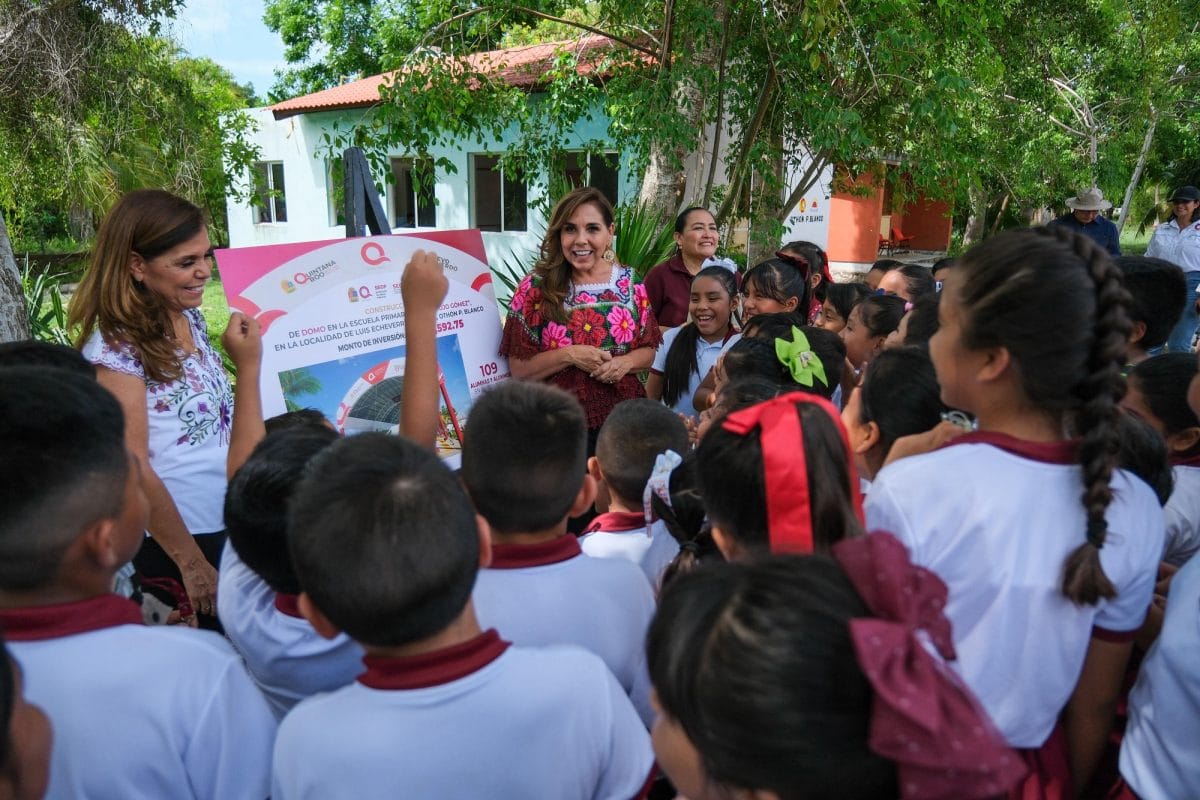 88d177c7-96e5-40db-951e-56e14381043d-1