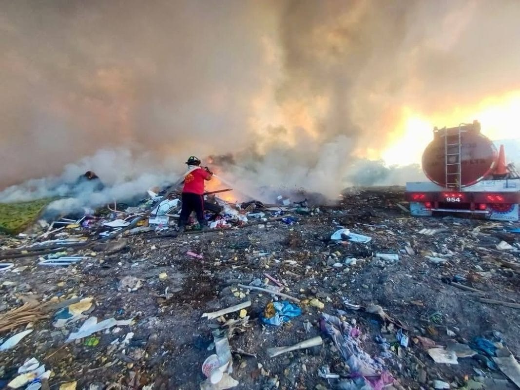 88ea21c5-585b-4172-a49f-afbeb77c5d6b-1