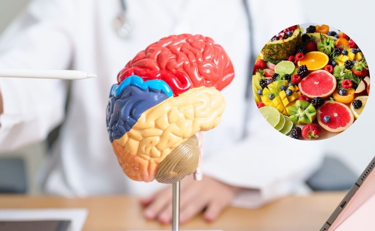 ¿Comer previene el Alzheimer? La dieta que protege tu cerebro