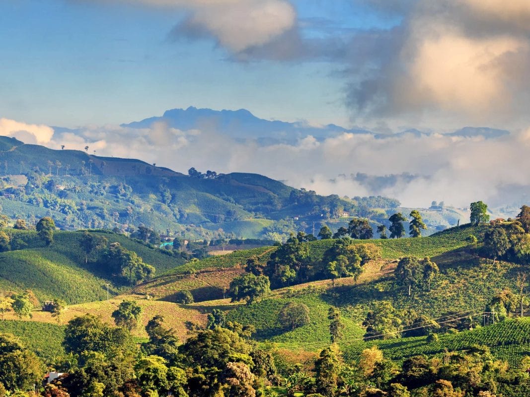 Eje Cafetero 2.0: El Despertar del Tesoro Verde de Colombia