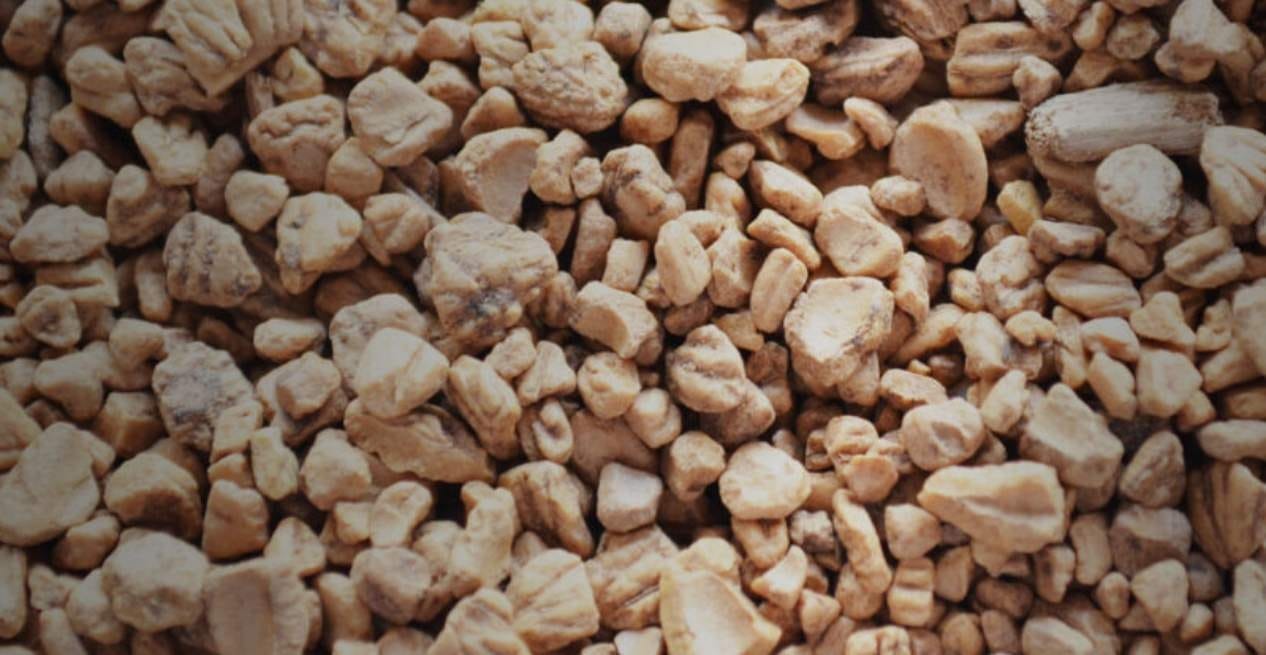 El tesoro oculto en el hueso de la aceituna: un combustible verde