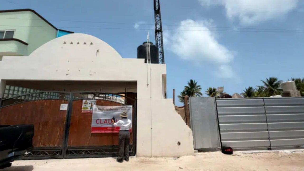 Clausura Profepa siete obras en Puerto Morelos por violar normas ambientales Clausura Profepa siete obras en Puerto Morelos por violar normas ambientales