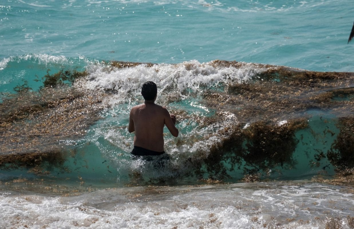 Autoridades refuerzan combate al sargazo en Quintana Roo con acciones coordinadas