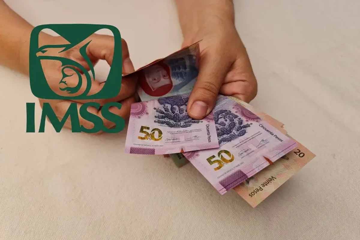 ¿Tu empresa te registró con tu sueldo real en el IMSS? Descúbrelo aquí