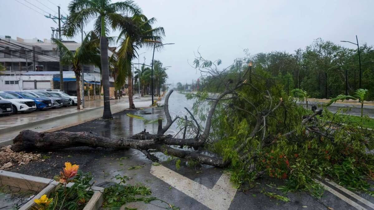 Tulum Ante Huracanes Tulum Ante Huracanes 2025: Plan de Protección Incluye a Mascotas