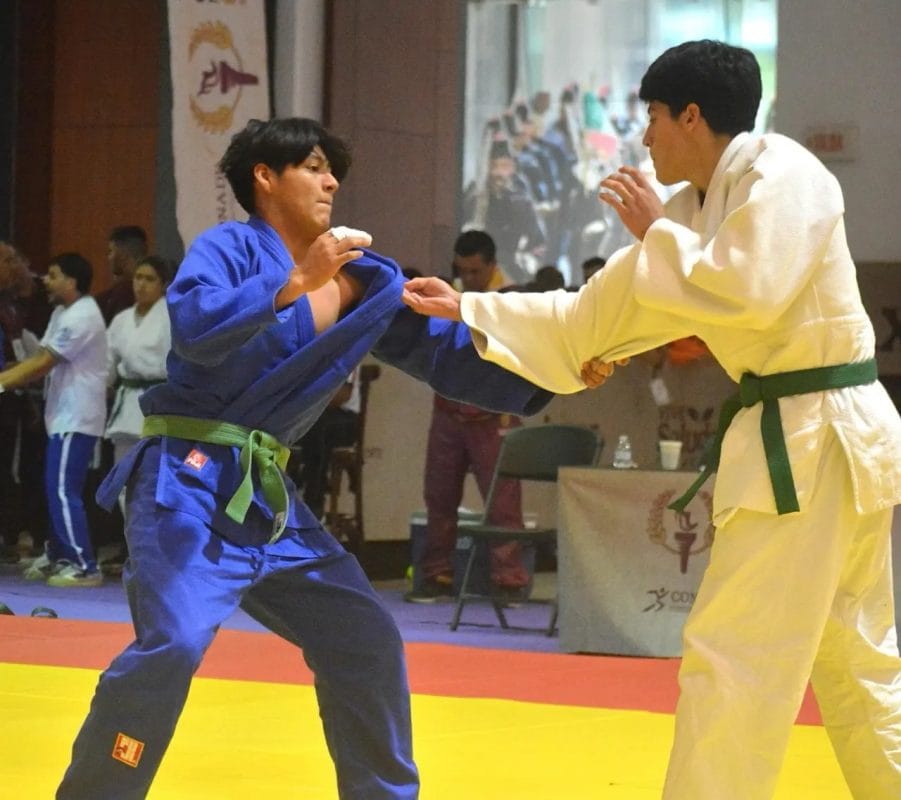 a48155b3-52cd-4c97-986f-8363aebb1280-1