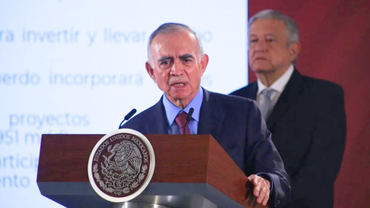 Vector, de Alfonso Romo