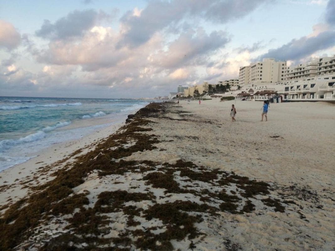 e23d441b-ac8d-4760-9c7c-c6df33303877-1