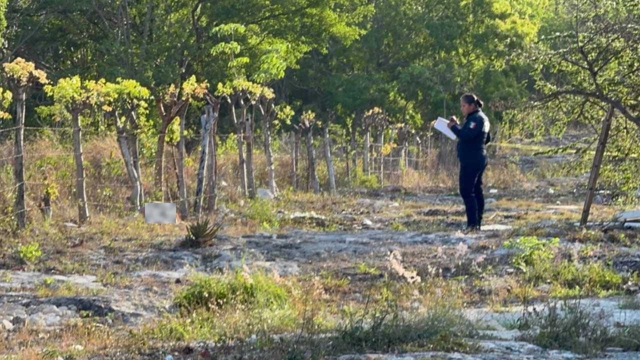 f666203a-8994-4f4a-948c-18246bbbb9c7-1