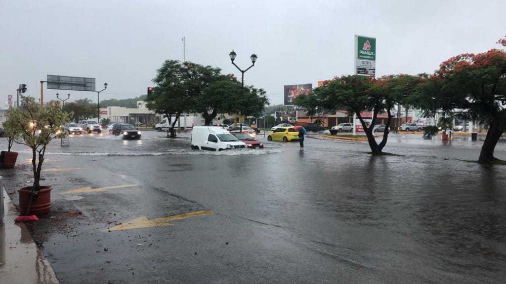 Caos en Mérida: Lluvias torrenciales provocan caída de árboles y postes; SSP en operativo