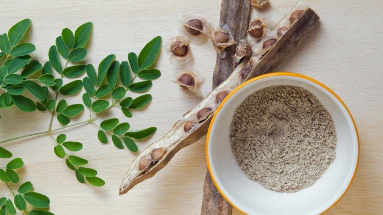 Moringa: El “árbol milagroso” que la ciencia respalda para tu salud 