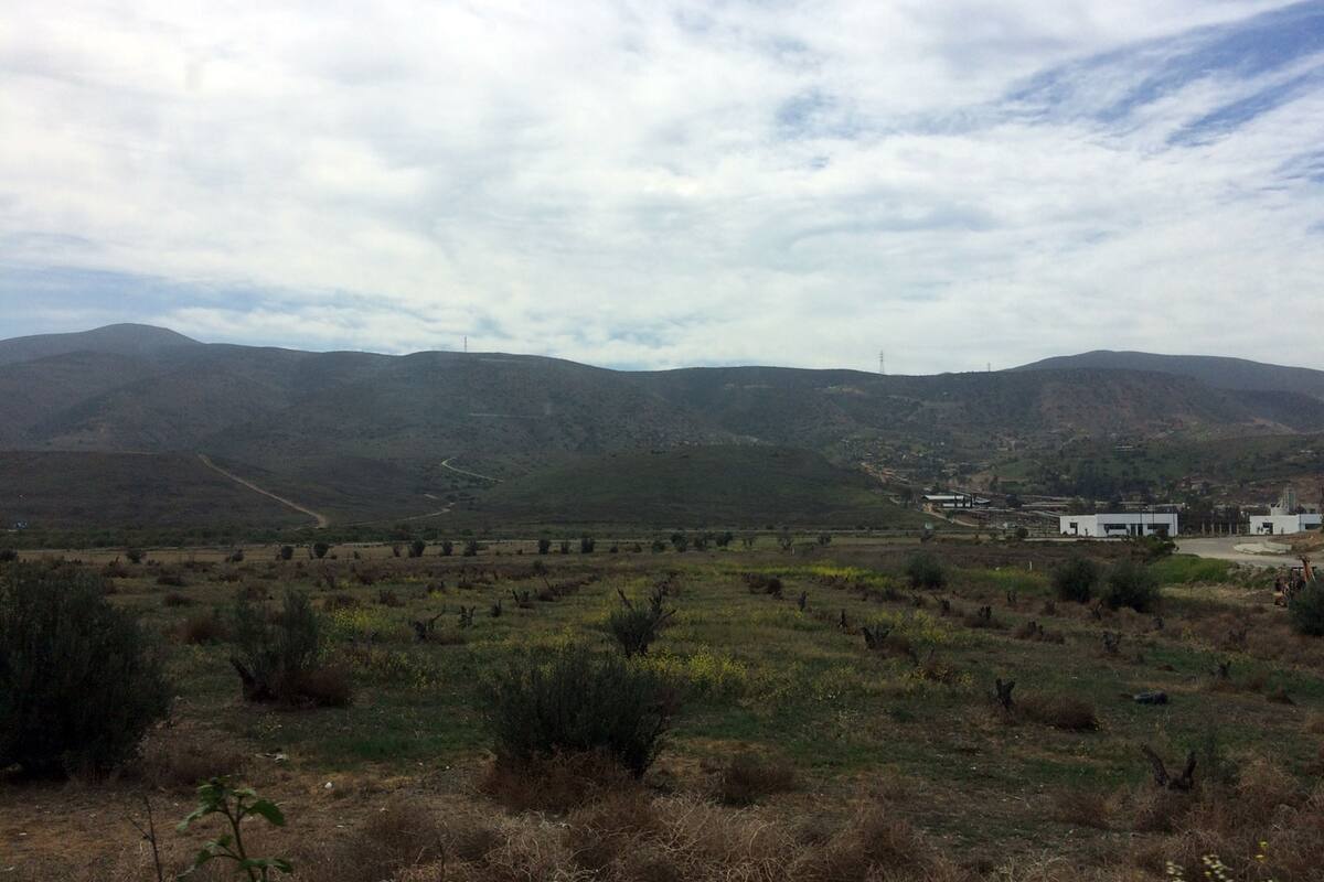 Tijuana, la excepción: Clima templado vs. caos en México