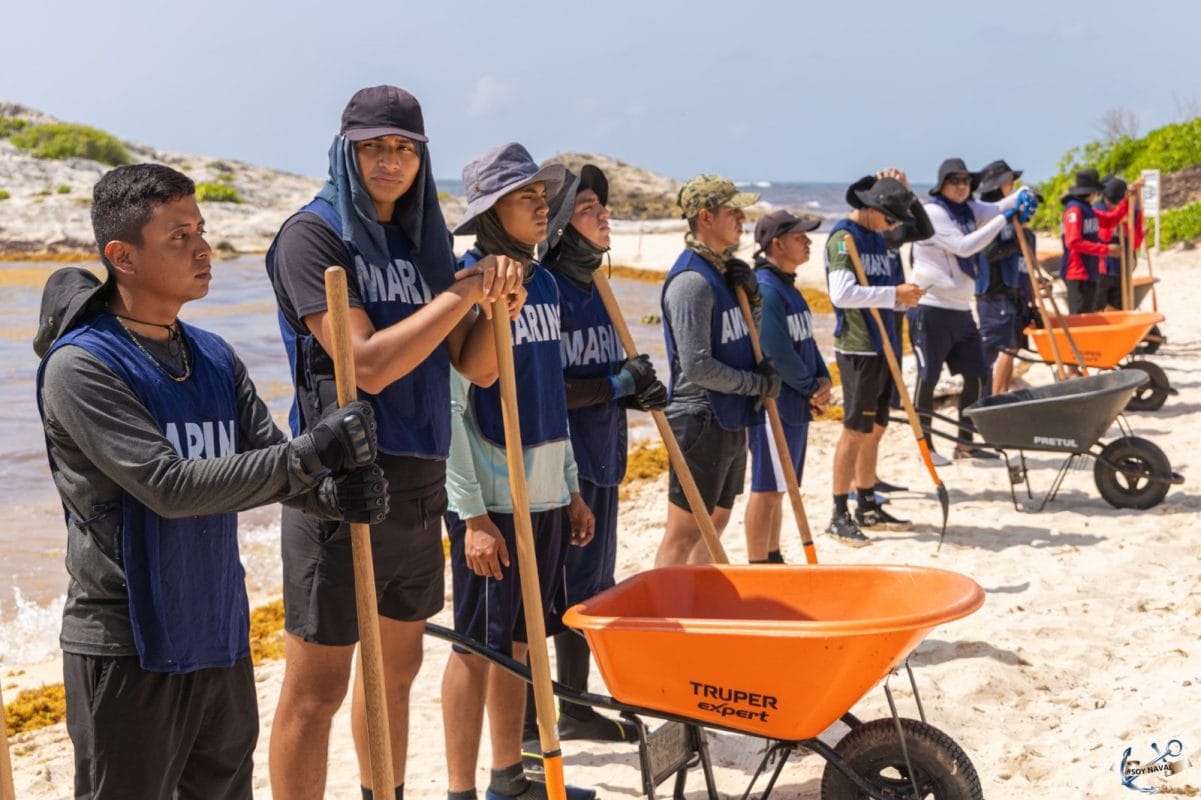 Con apoyo de la Marina, 44 mil toneladas de sargazo recolectadas en Quintana Roo