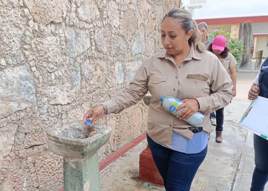 Ticul se blinda contra el dengue: fumigan potenciales criaderos de mosquitos