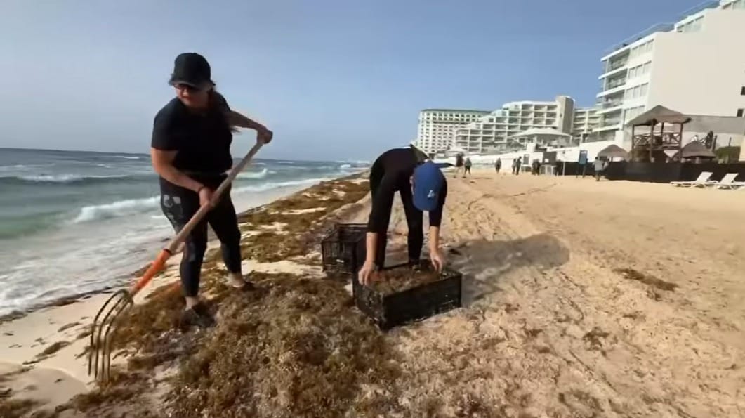 Policías de Quintana Roo se suman a jornada de limpieza de playas con sargazo