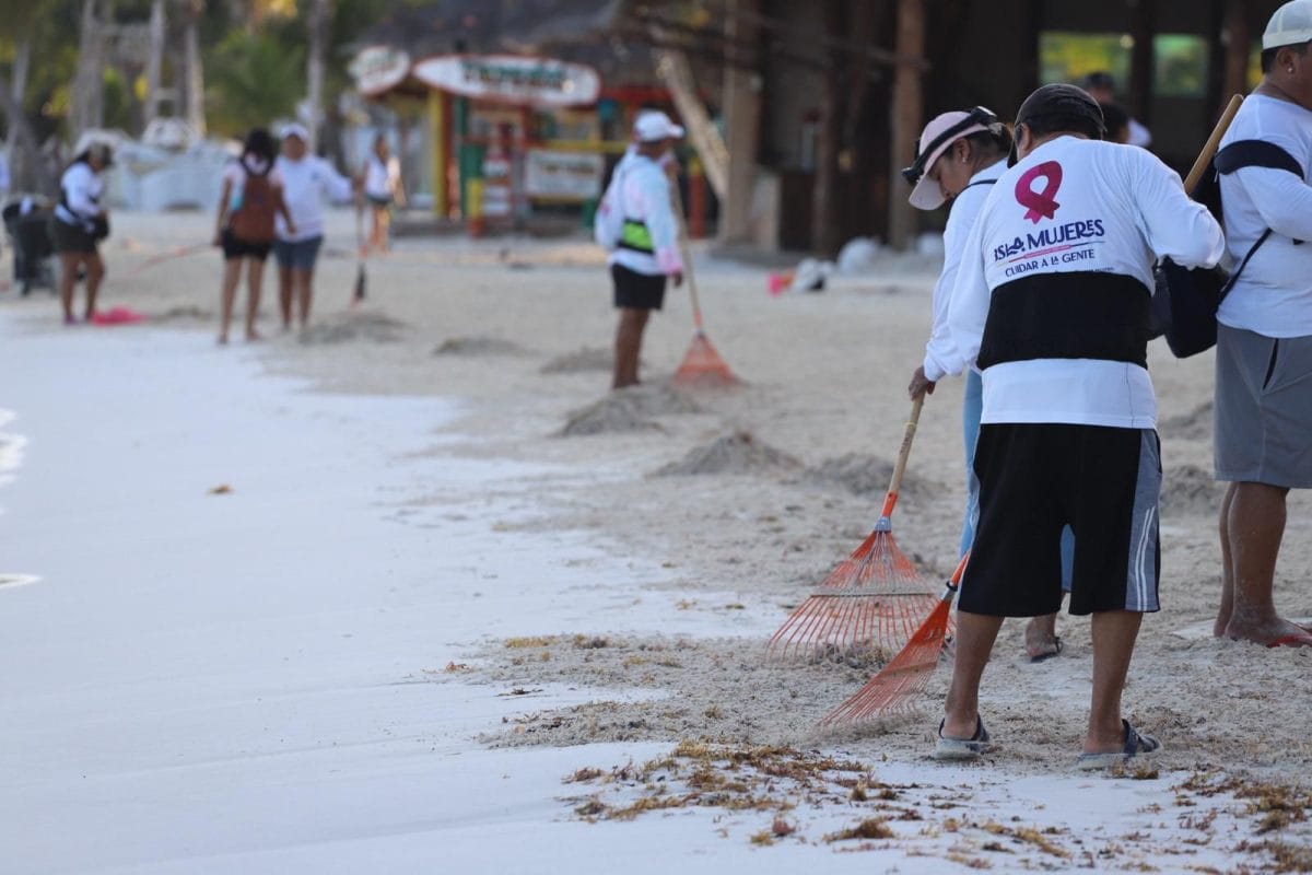 Más de 2,140 toneladas de sargazo recolectadas en Isla Mujeres Más de 2,140 toneladas de sargazo recolectadas en Isla Mujeres