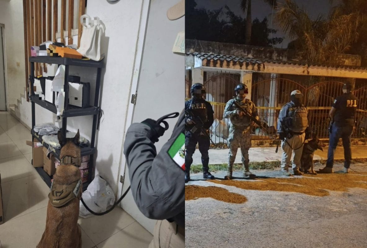 SSP asegura narcóticos durante cateo en la García Ginerés SSP asegura narcóticos durante cateo en la García Ginerés