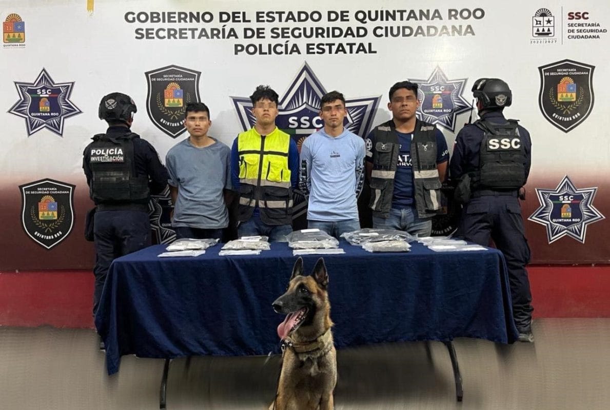 7f06389b-2d24-4ceb-8351-233900b3b673-1