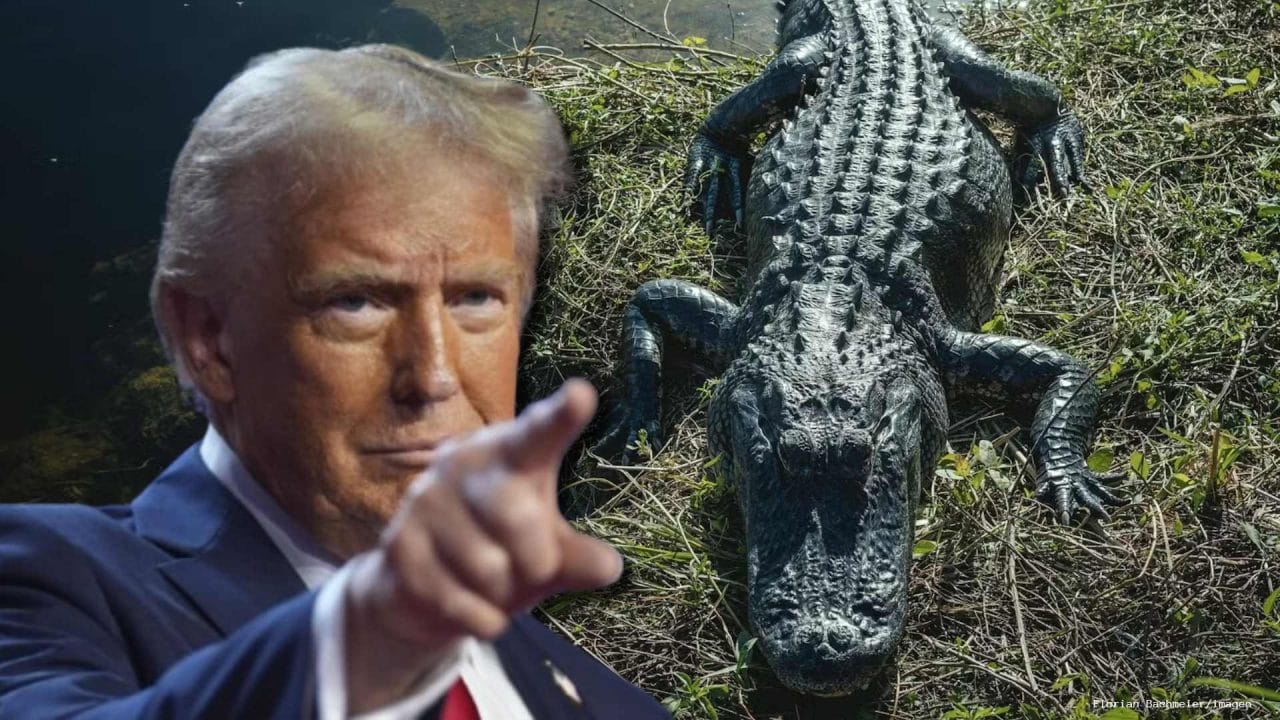 Donald Trump: “Alligator Alcatraz”, la polémica cárcel para migrantes en Florida